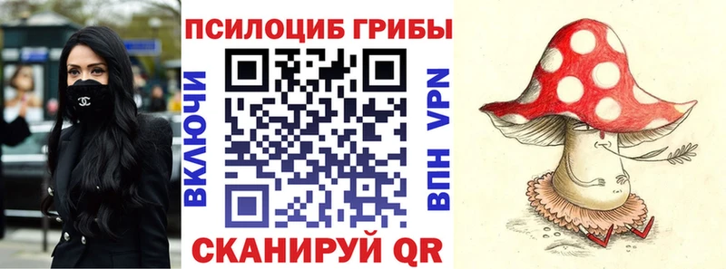 площадка телеграм  Асбест  Галлюциногенные грибы Psilocybe 